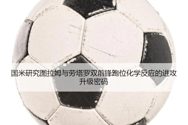 img_1782322939800_300_1_754.jpg