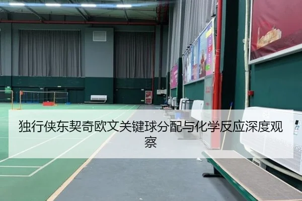 独行侠东契奇欧文关键球分配与化学反应深度观察（kaiyun）